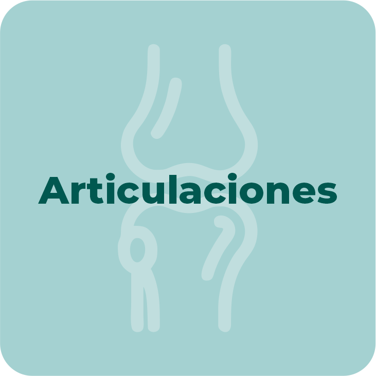ARTICULARES
