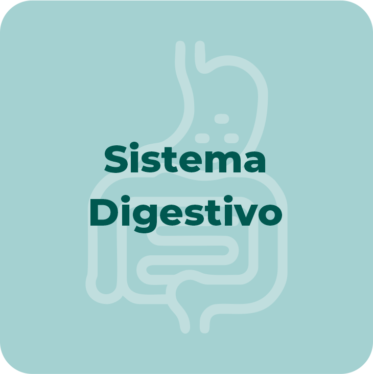 DIGESTIVAS