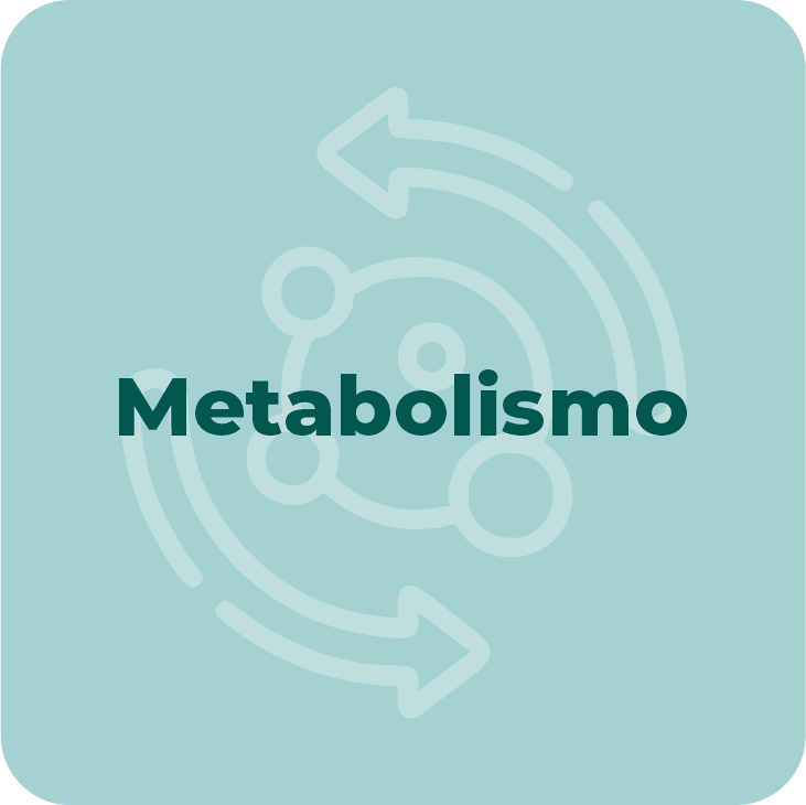 METABOLICAS