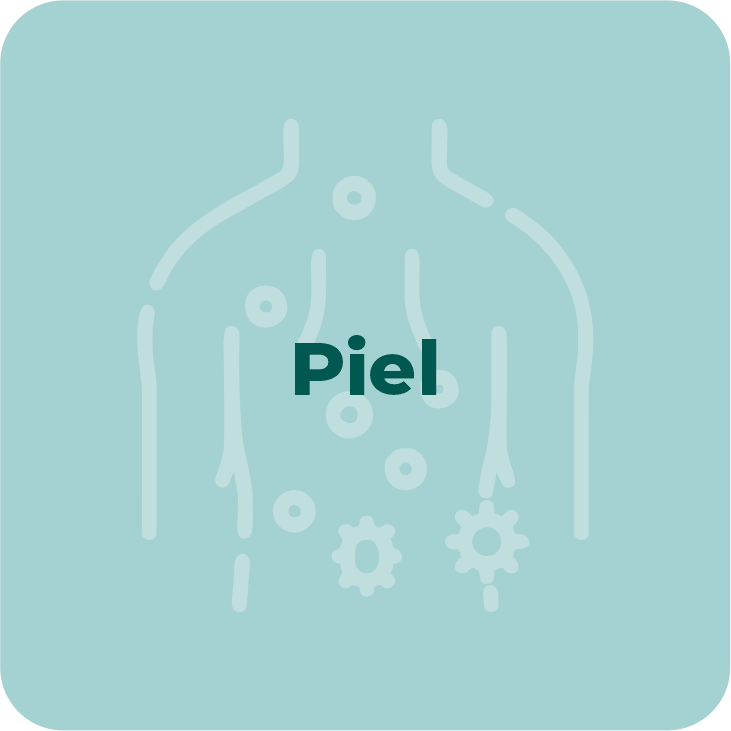 piel